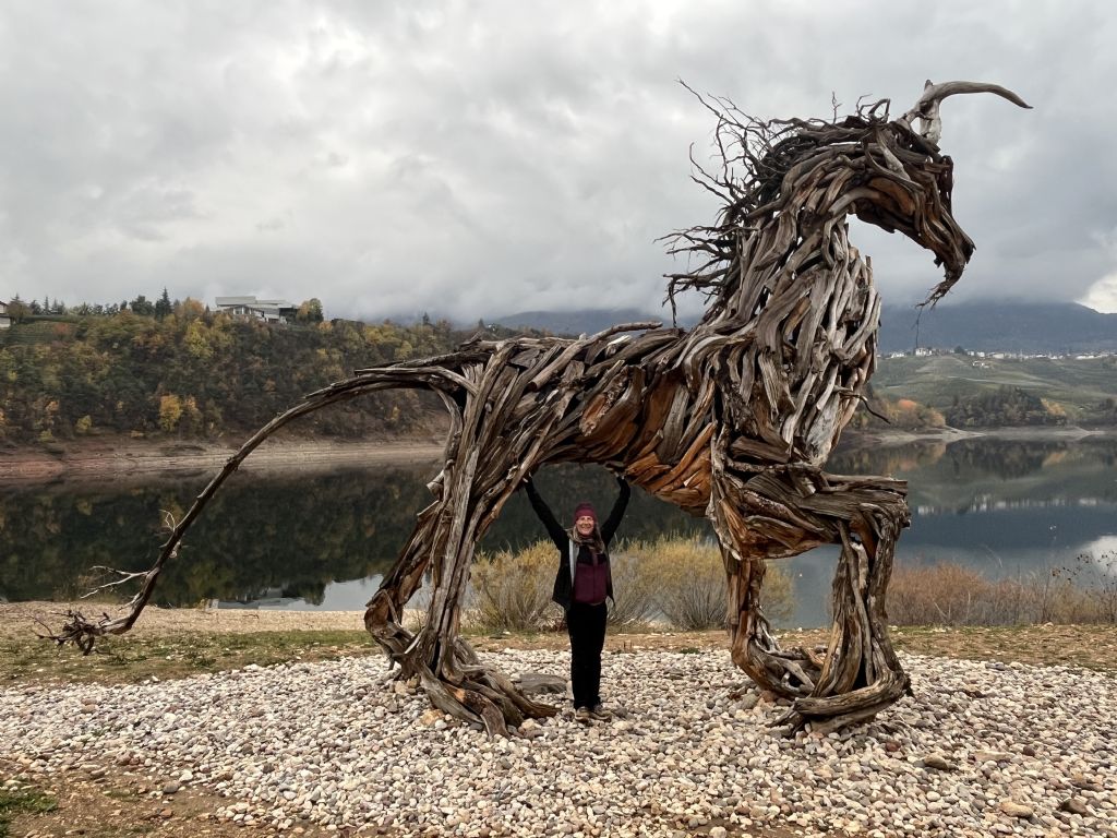 Tutte le sculture di Marco Martalar.....in Trentino